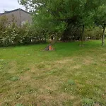 Empty Spot On Grass The Tulip No Beds אתר קמפינג יוליאנאדורפ