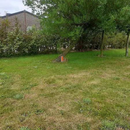 Empty Spot On Grass The Tulip No Beds Parque de Campismo Julianadorp