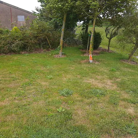 Parque de Campismo Empty Spot On Grass The Tulip No Beds *