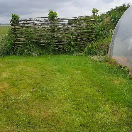 Empty Spot On Grass The Tulip No Beds