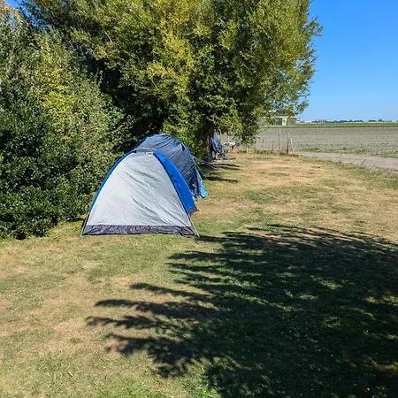 Campingplatz Empty Spot On Grass The Tulip No Beds *