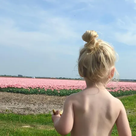 אתר קמפינג Empty Spot On Grass The Tulip No Beds
