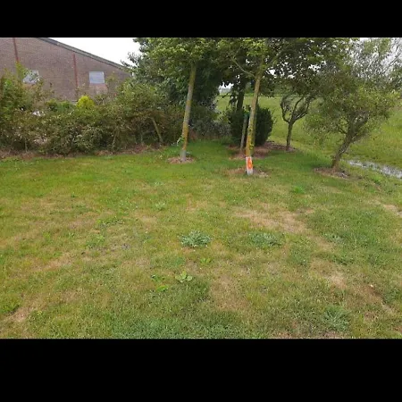 Empty Spot On Grass The Tulip No Beds *