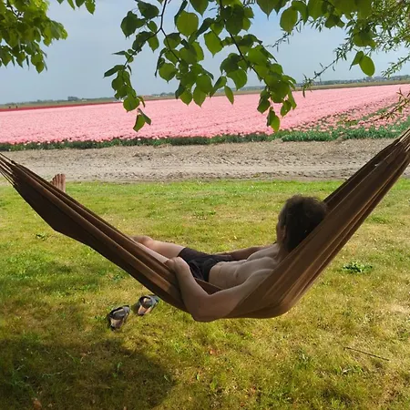 Campingplatz Empty Spot On Grass The Tulip No Beds