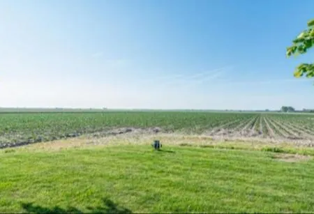 Empty Spot On Grass The Tulip No Beds Campsite Julianadorp