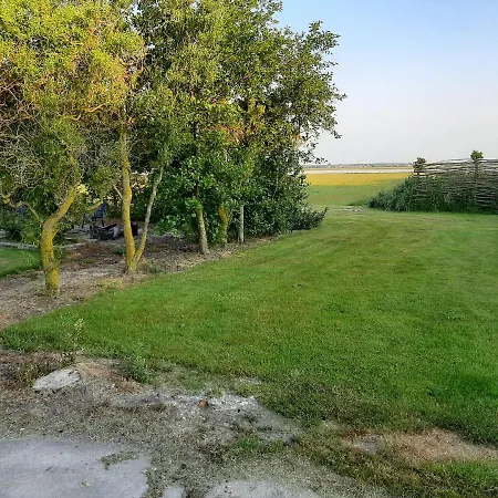 Campsite Empty Spot On Grass The Tulip No Beds *